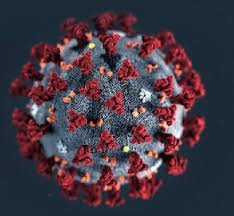 Coronavirus : Plus de 800 cas confirmés en Haïti