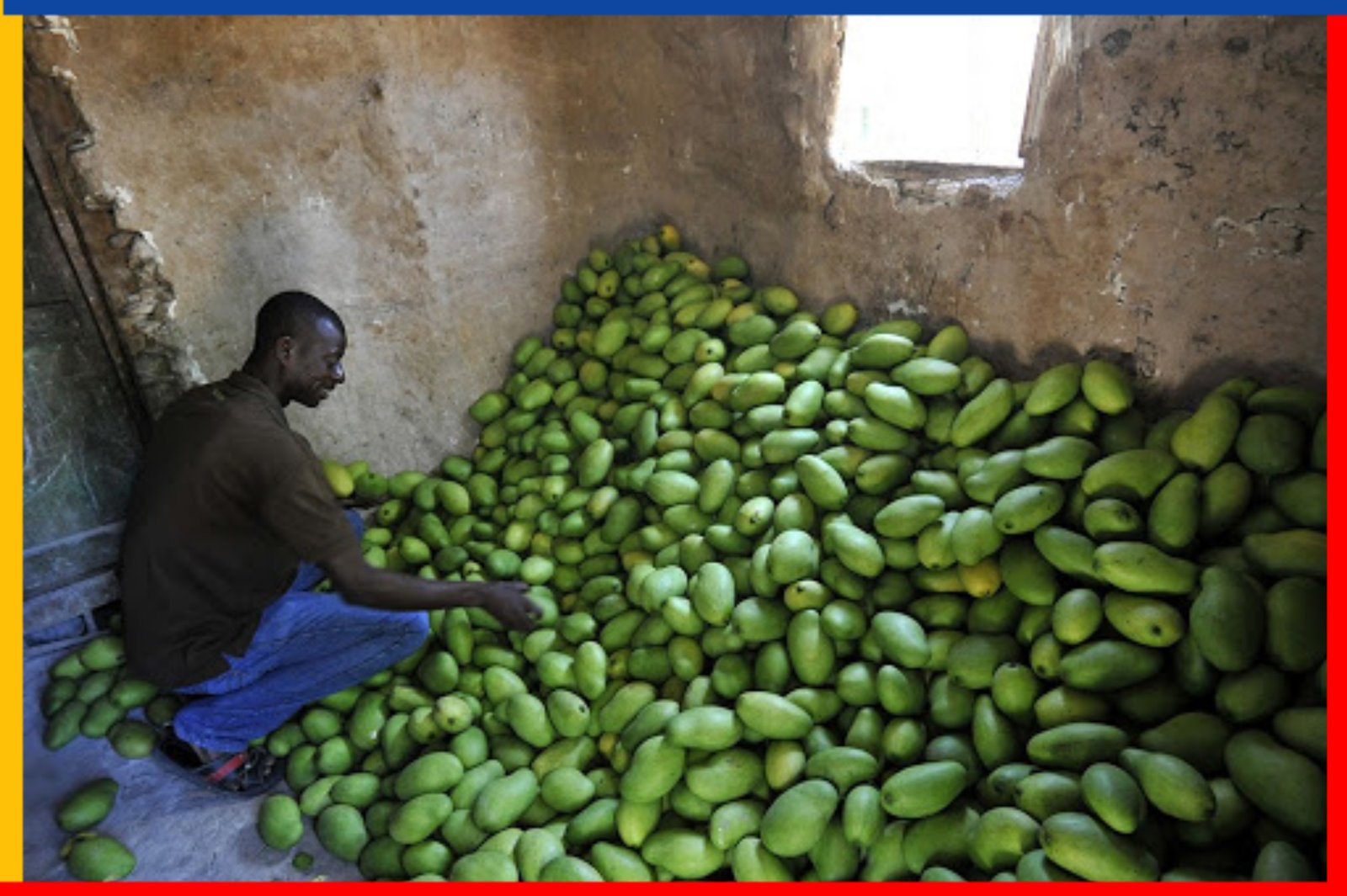 Connaissez-vous les bienfaits de la mangue?