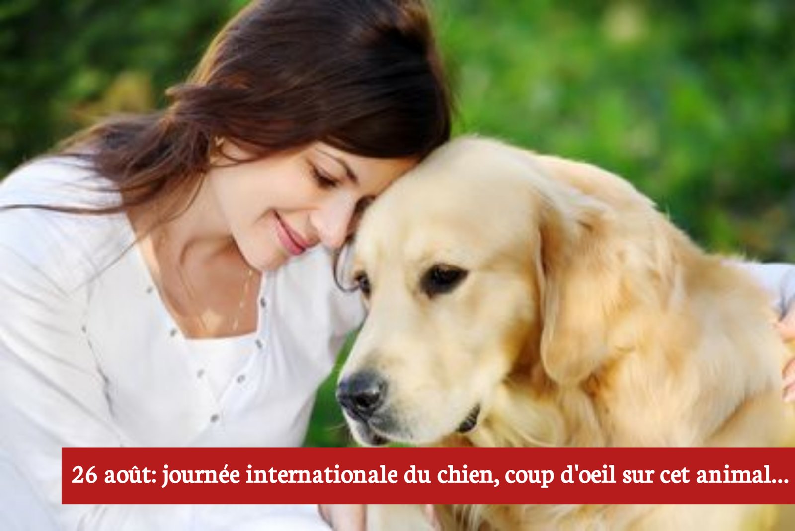 26 août: journée mondiale du chien, coup d