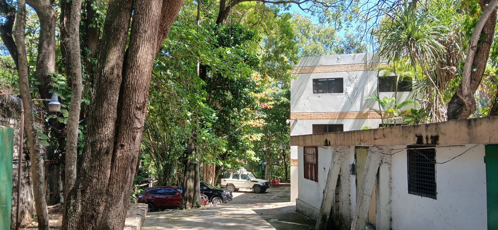 Une petite visite vite fait à Livres Solidaires Haïti